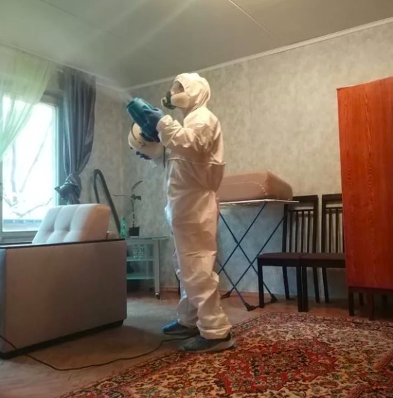 дезинсекция квартиры в Себеже